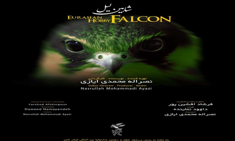 مستند «شاهین لیل»
