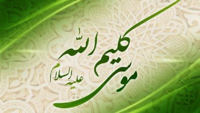 دو فیلم در سانس فوق العاده
