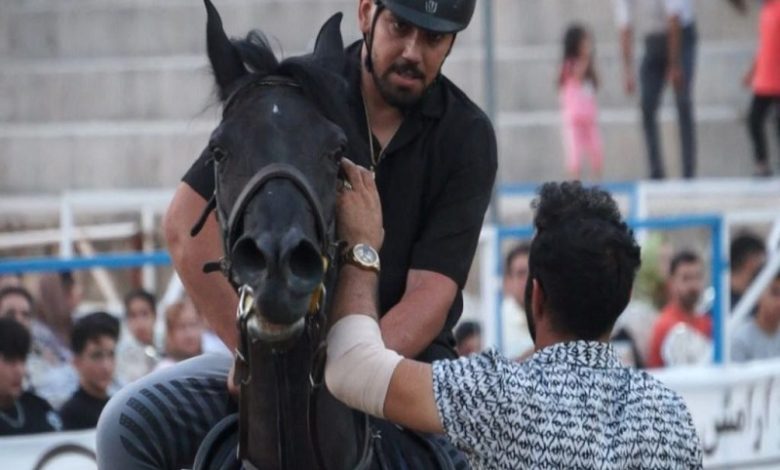 مستند «چیا زاد»؛ روایتی از تاریخچه اسب کُرد و جنایتی در دل فیلم‌برداری
